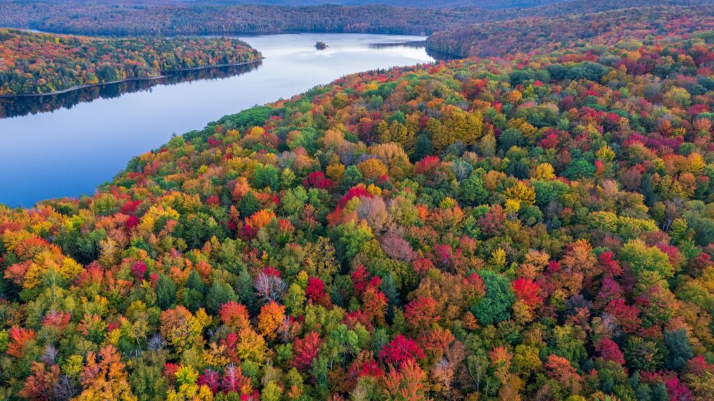 How Climate Change Is Shifting Fall Colors in National Parks
