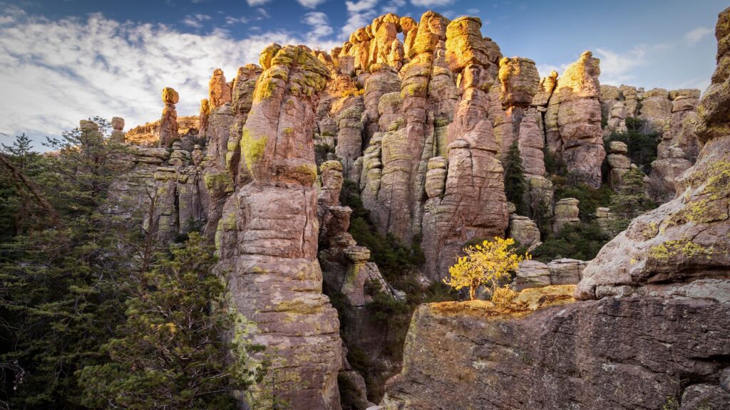 Chiricahua National Park: What to Know